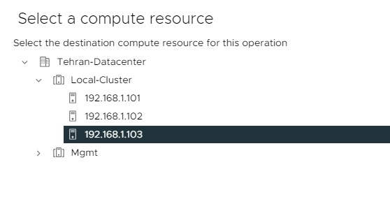 انتخاب میزبان ESXi