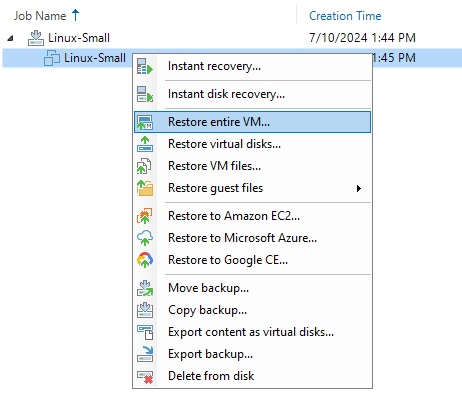 گزینه entire VM